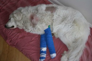 ona_bandage
